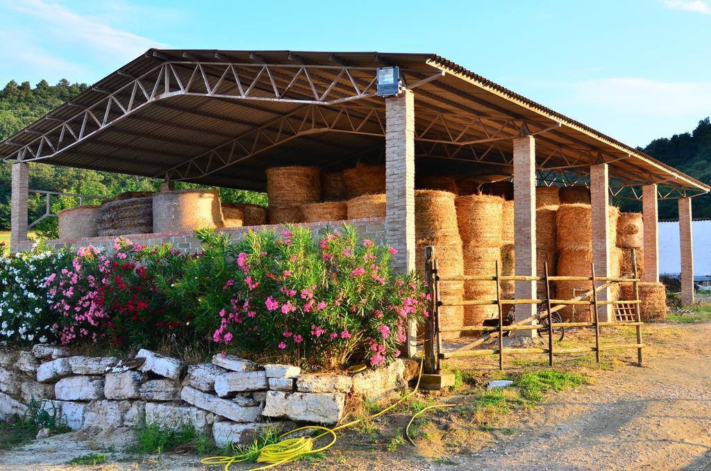 Agriturismo Terre Di Musignano Canino Room photo