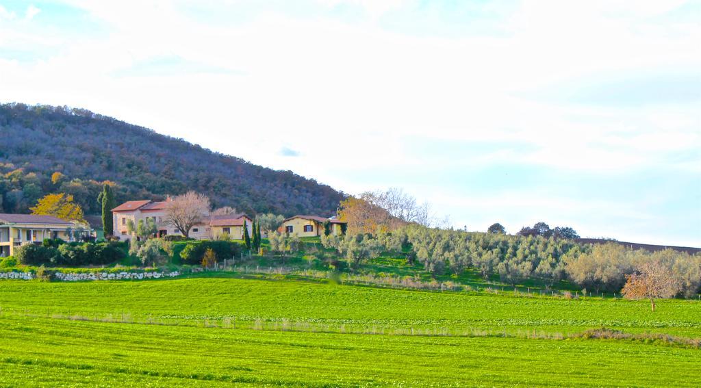 Agriturismo Terre Di Musignano Canino Exterior photo