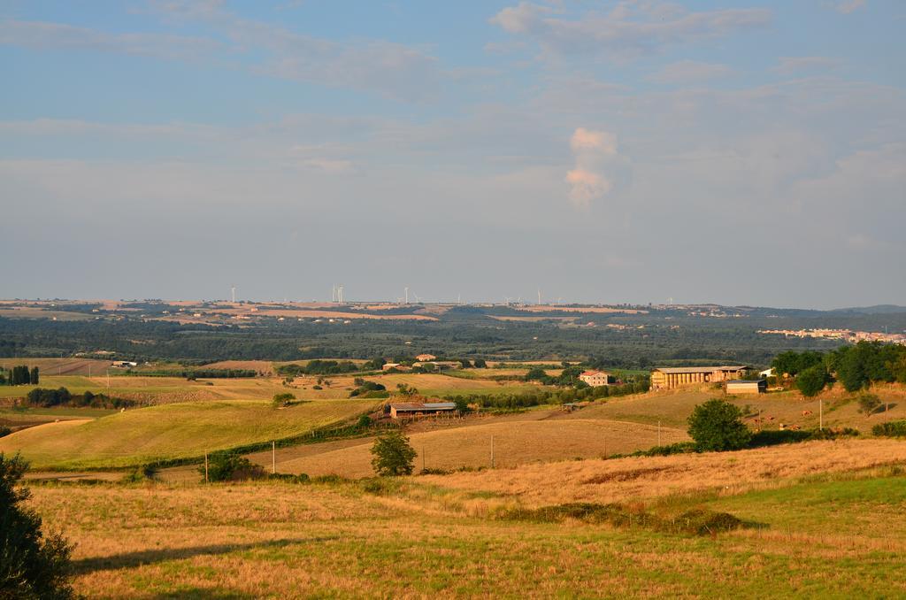 Agriturismo Terre Di Musignano Canino Exterior photo